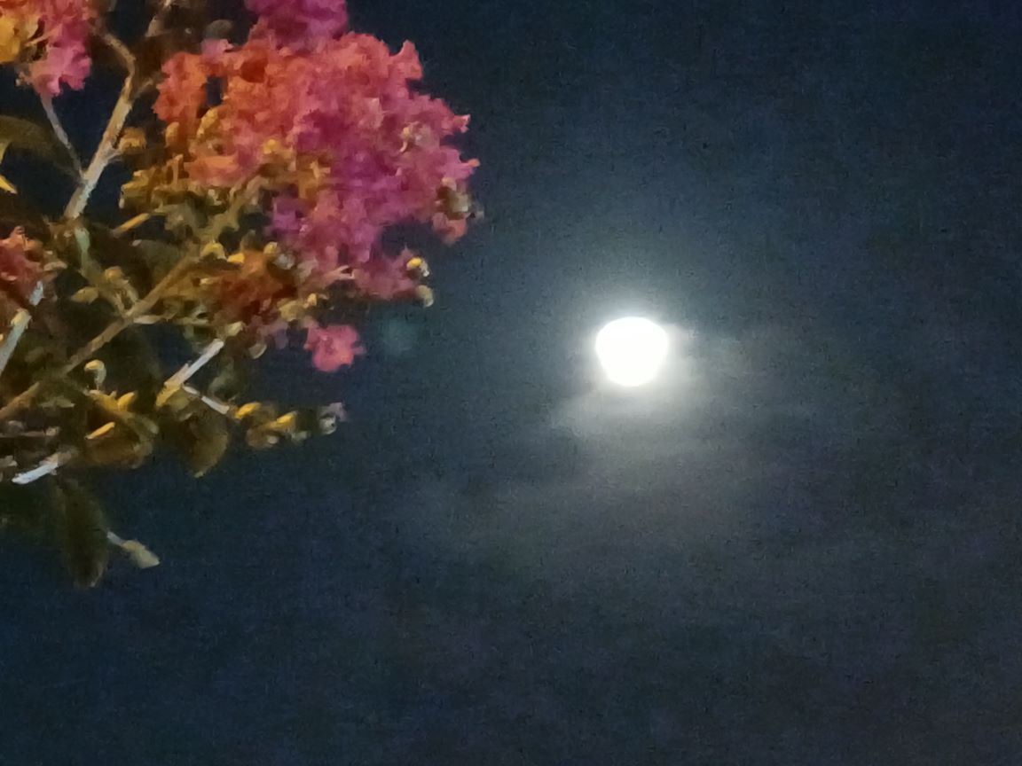  . ҹ , Ͻ 140119g5ccebtjc65c6nl6