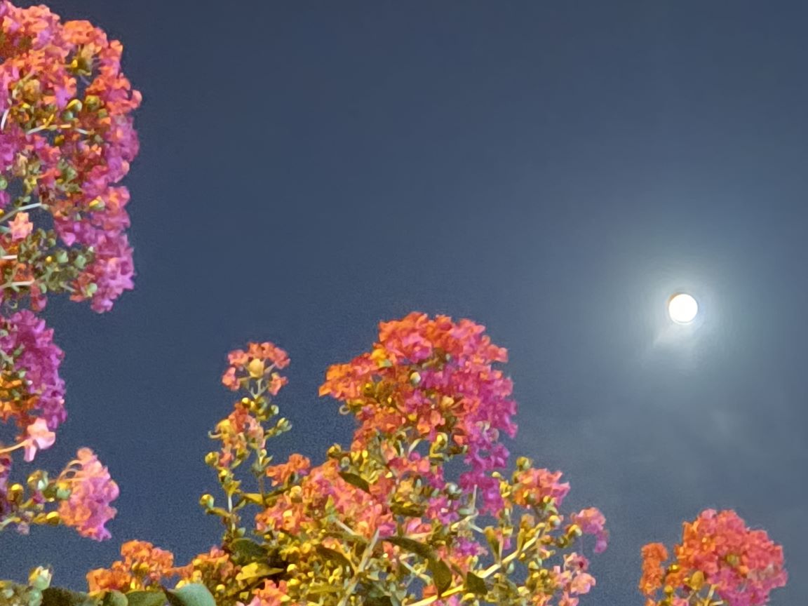  . įŪ² ,į Ͻ 080945uzg6q656qag25aa5