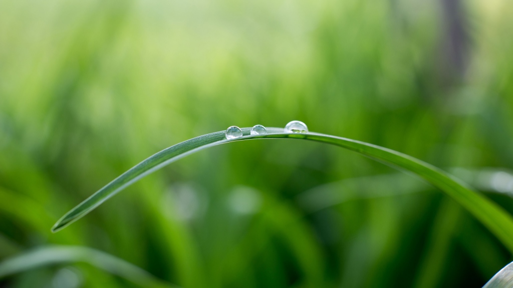 İϣů ,ů ɢ 092943ci4ljdkzd4bjiztl