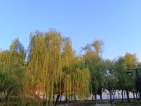  , ִʫ 093646tkikuaiu5ukkcezq