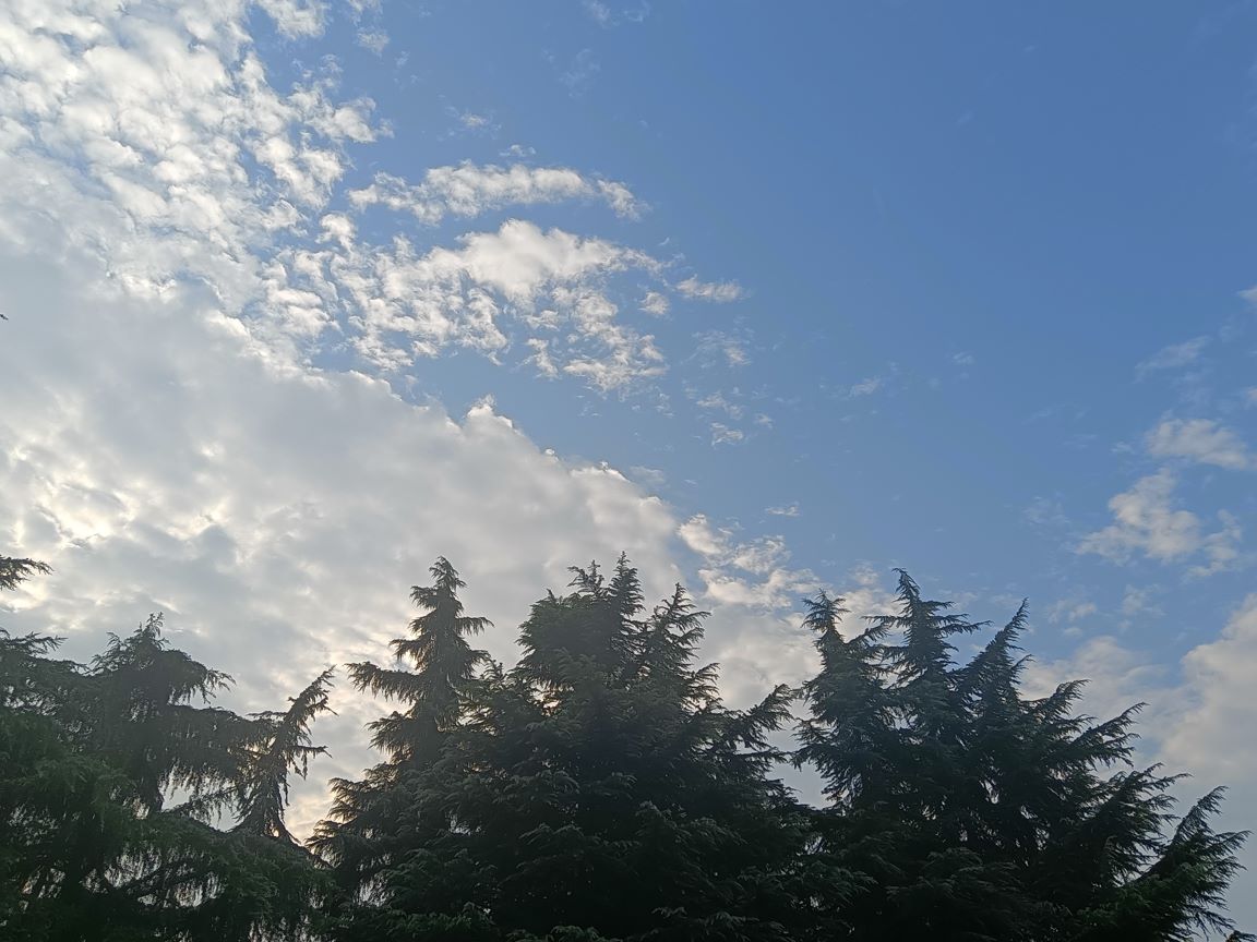 ʫ(΢ʫ) ʫ ִʫ 093827iveg137vg50v5pl6