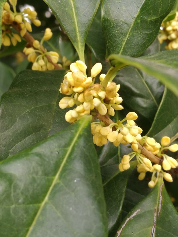 (΢ʫ)  Ͻ 124425yab04g1raafda51f