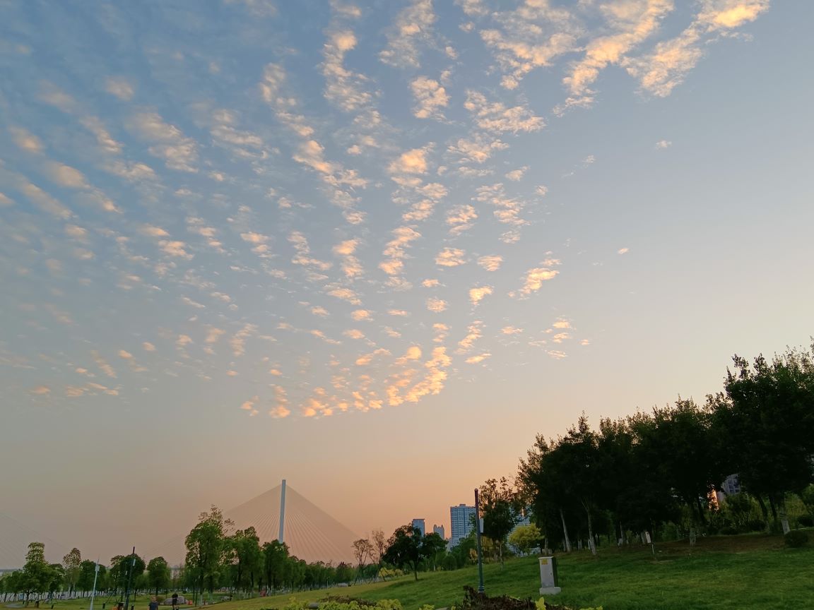 ɡ¹  Ͻ 124928bv5tpujbptn530dq