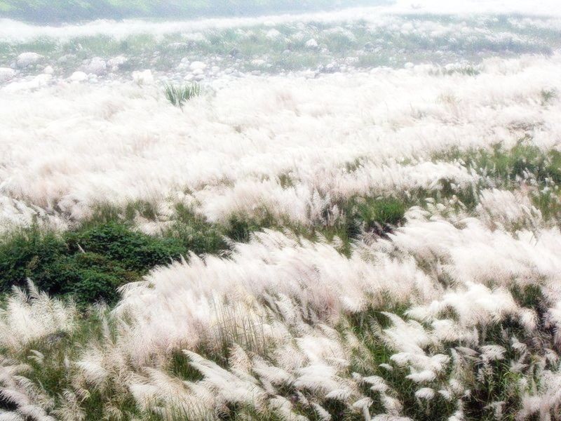 «  ִʫ 173241kyvxvh4q90rhmvq4