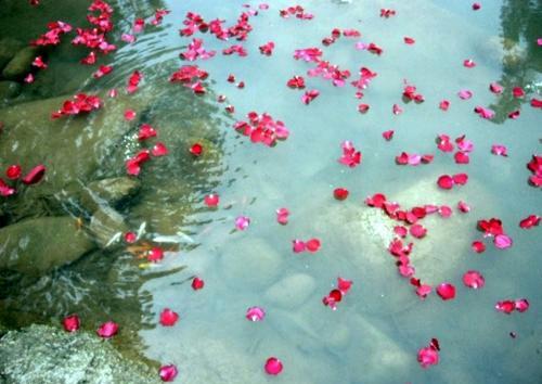 лЩһ߹ʱ л,Щ,һ߹,ʱ ɢ 194845d8cgkzkbyqdgb4xj