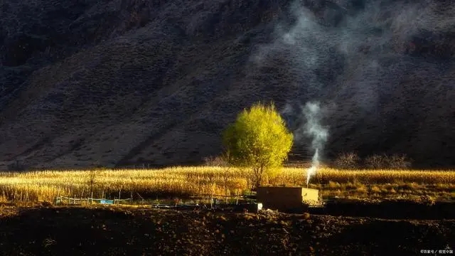   ִʫ 003749tomsu5jt4mkjjxuj