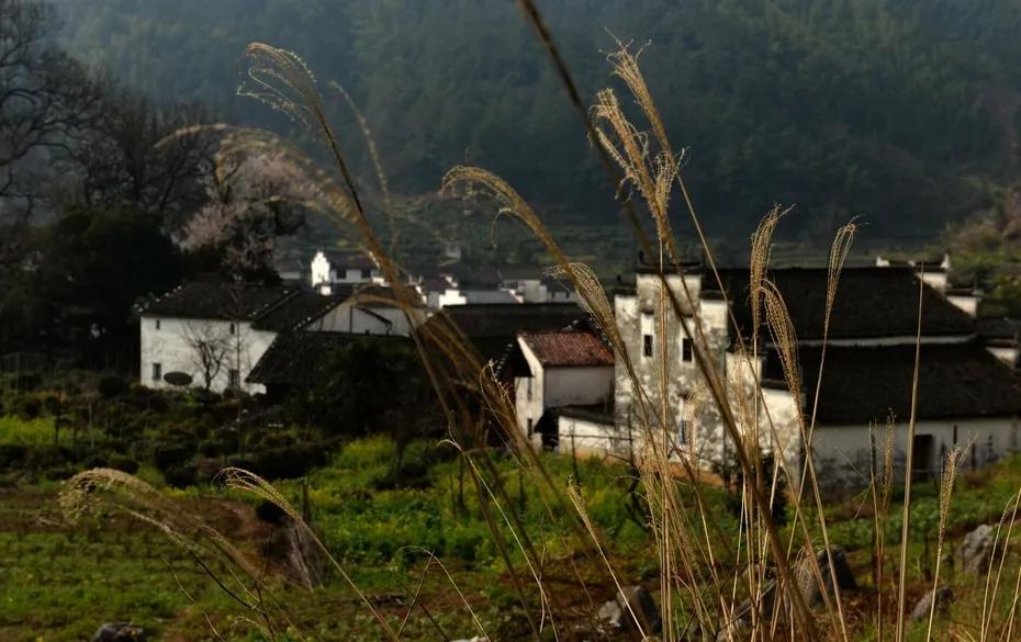 ľվ ,, ƪС˵ 201035zrotukw6ko65jrtu