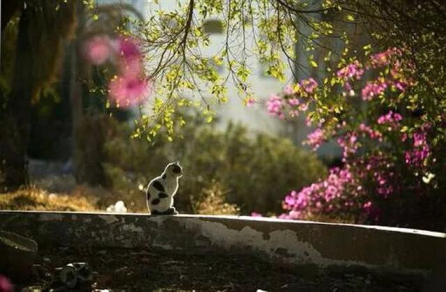 һ꣬벻ֹ 벻,ֹ, ɢ 185024dsvkbn5akgnessee