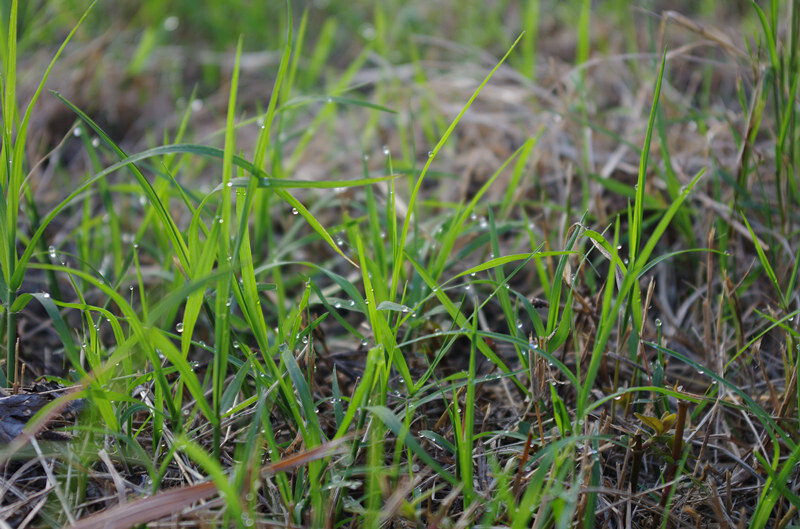 С - С ִʫ 152045uvly8dkrcfx20c03