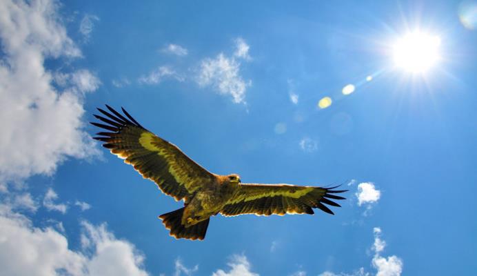 ĳ ĳ ִʫ 190647sg12bzb1y1jctd7z