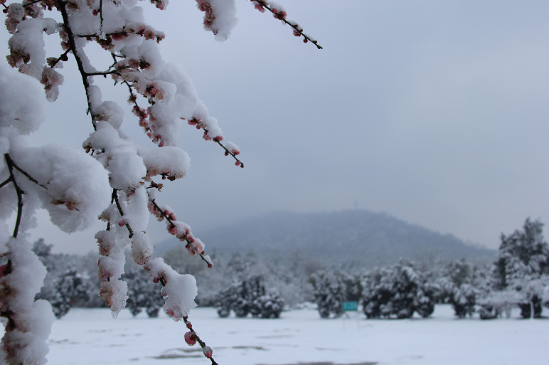 ѩ ѩ ִʫ 210332h8hqf6wht4h74ret