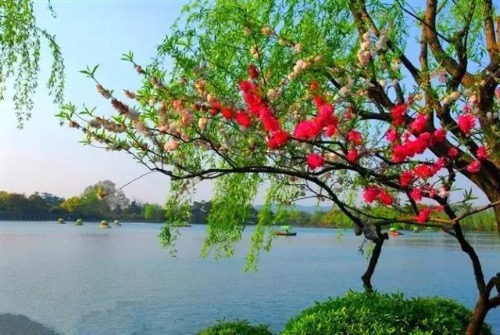 ؿ֣ȴȻ尣£ ,,Ȼ, Ͻ 