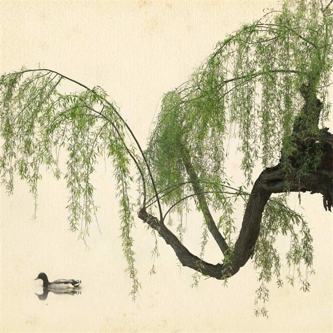 껨䣬ů  ɢ 174556q0xwgrxw494ss0gc