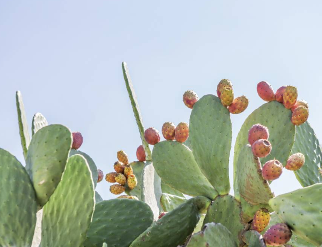 ɣƵĹʵѧ ,ʵ,, ɢ 095924z221p9xqszsd9ass