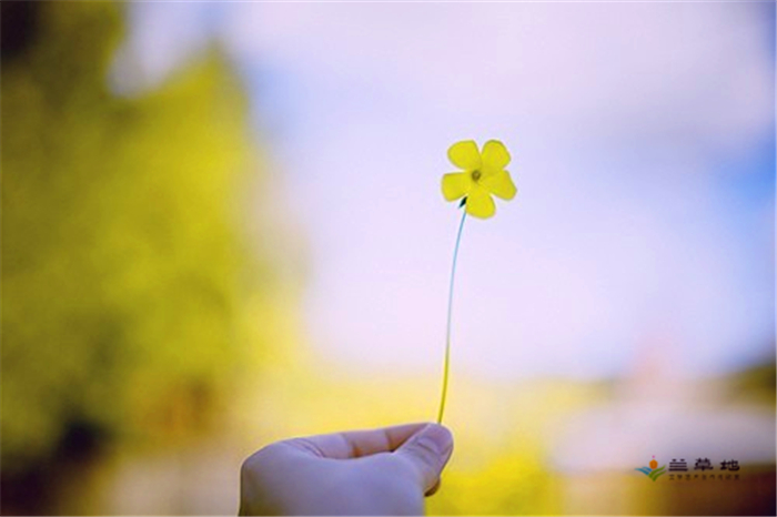 էйһʥ էй,һ,ʥ ִʫ 172357f140w08aujjjczj8