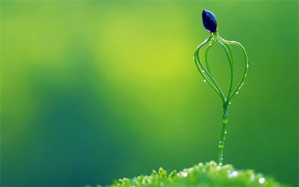 ߻£ʫ ߻,ʫ ִʫ 152940xh1wh6zd9bo8w6bo