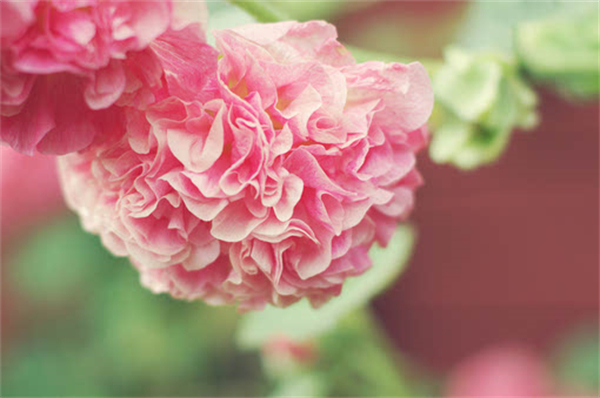 һٻԹ һ,ٻ Ͻ 085333nf4bufa7kd8n8st7