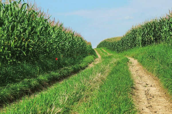 ɴ ,ɴ ɢ 101609wrcdhcdwyxmh6ryh