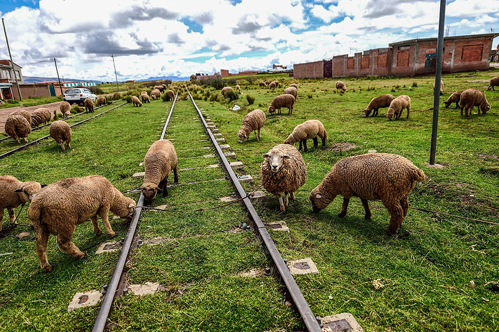 һȺʶ һȺ,ʶ ִʫ 005030axlv24q47fvunss4