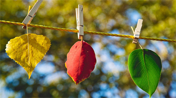 0604102344567-lp.jpg 0604102344567-lp.jpg