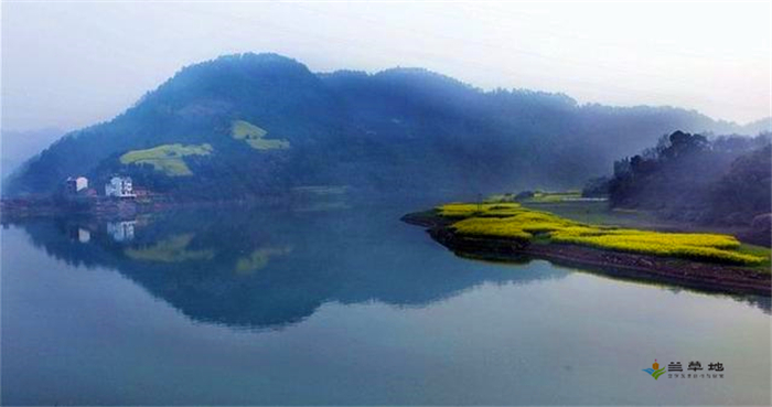   ɢ 185300p49xaar214pbazna