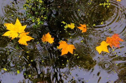 µĳĬ뱩ʧ ,Ĭ,, ִʫ 094238bne3tete9fonncao