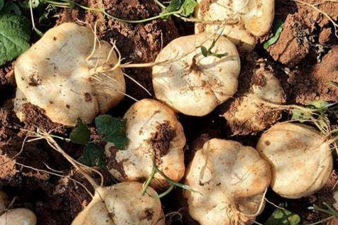 İ , ɢ 105959t4ekbwagkfhahuca