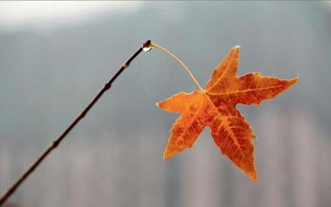 쳾Ⱦ 쳾 ɢ 164422z11r4xxxhpu9jdu5