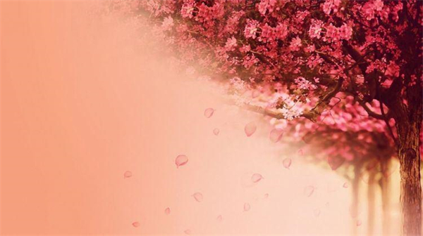 Ҵʰҵʫʫ ,,ʰ,ҵ,ʫ ִʫ 101854zggr7prgzpf333k6