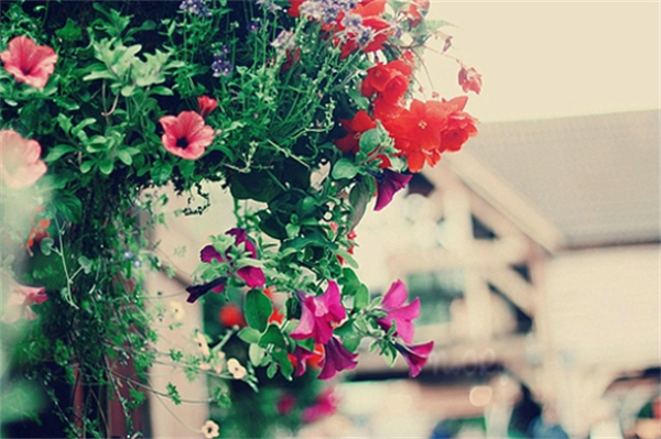 ݺκԺף ݺ Ͻ 094923uroofjx6fo0gkfog