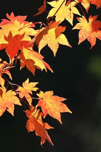   Ͻ 171036m59h2lpjc4o5u3n1