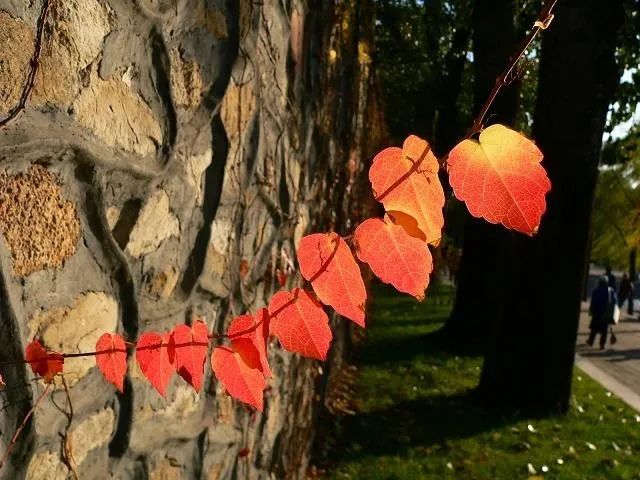  , ɢ 101912d3h0cbtwcxiztbw3