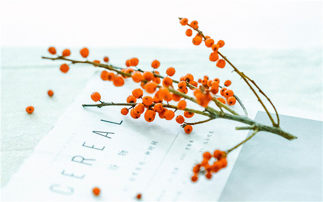 ķҷ ,ҷ ɢ 200201jy159k95oxbaolck