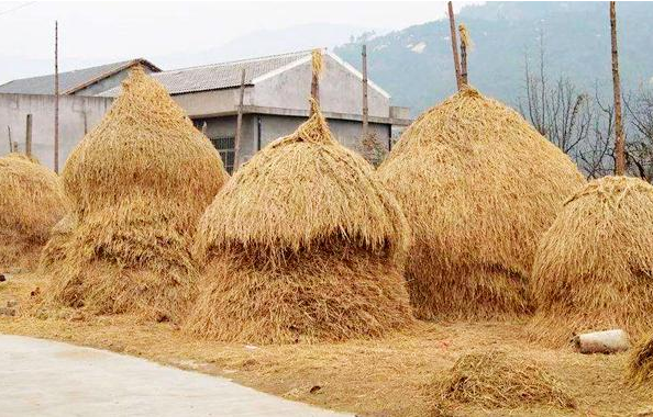 Ĳݶ ,ݶ ɢ 085739berz4vsj9z9nj8va