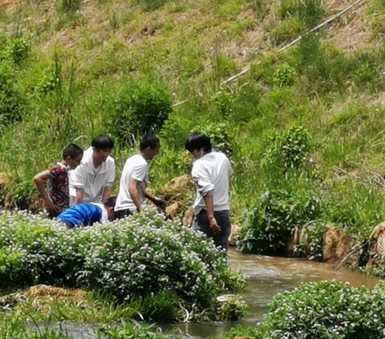 ȥ׽Ϻ , ɢ 084256nbcg8c3bxxragb4x