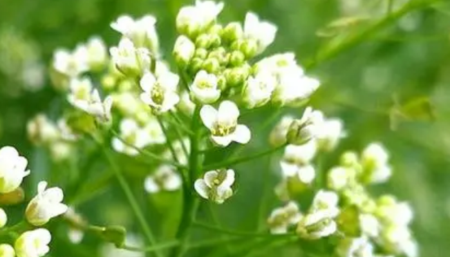   ɢ 104925o5nj8dj4h1knygk3