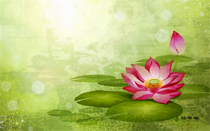 ҩӺɻ ɻ ɢ 160322rnnw4lbp5jnlnjw8