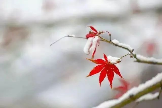 ĩδĩ ĩ ɢ 100427mgr3xxafzxw0f3h0