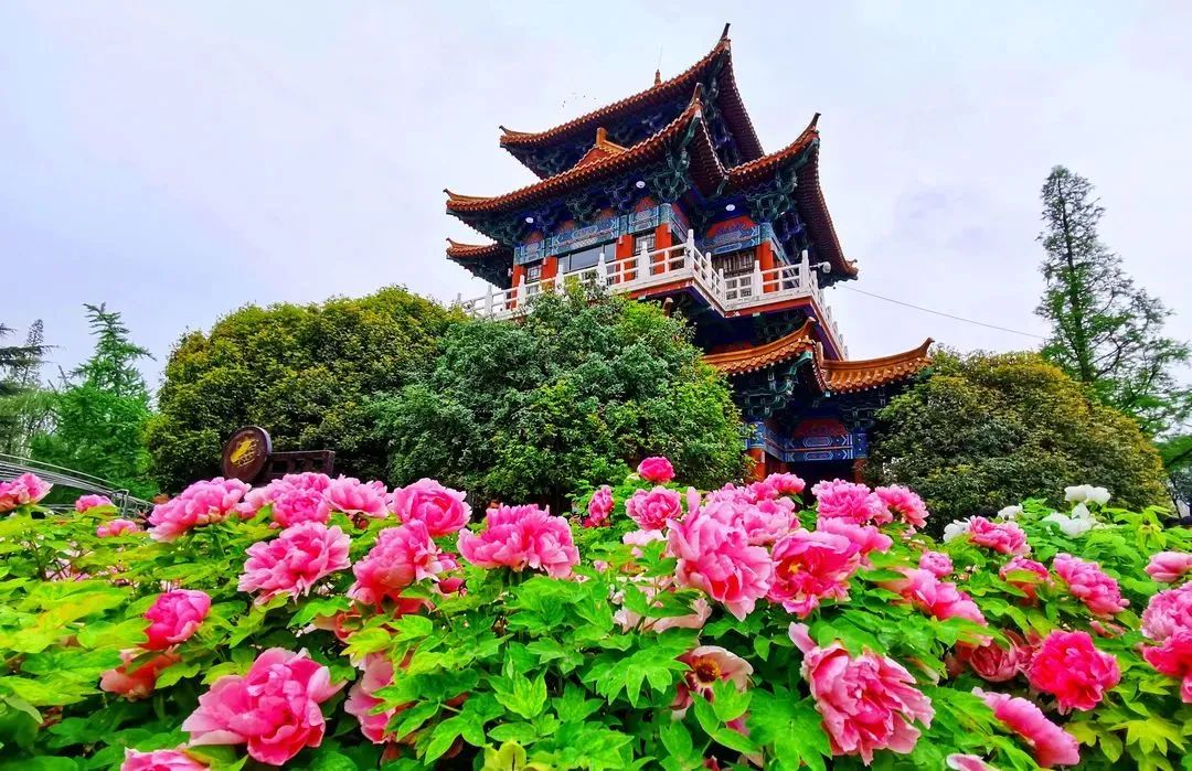 ȥ , ִʫ 104432pczpb5cwd6pwcdgb