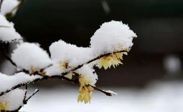 ѩڣһף ѩ,һ ִʫ 102017ds34snoqsi8qoimi