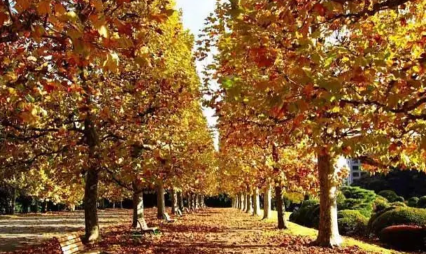 įͩ į,ͩ ɢ 085309fdfvd2bhjjd3k6t6