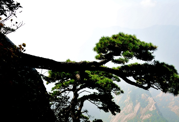   ɷ磨ף ,,ɷ, Ͻ 090508i1kqrf3qnf4k34fn