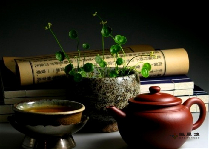 ҵǸͷ ,Ǹ,ͷ ƪС˵ 193055eatrjh971mac3jm1