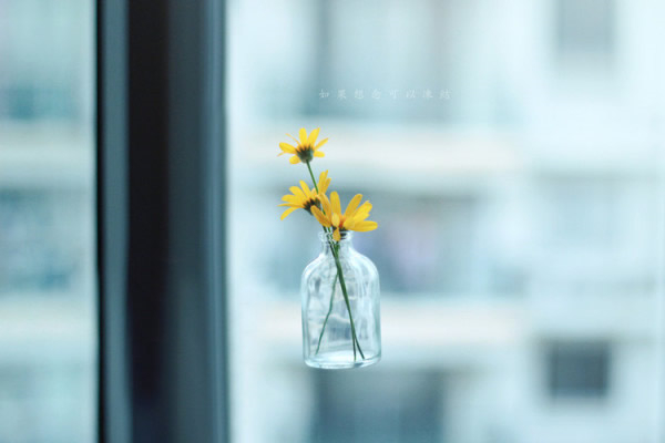 Ҳɬ ,,ɬ ִʫ 101248tzd4y1bgbzjvsbb1