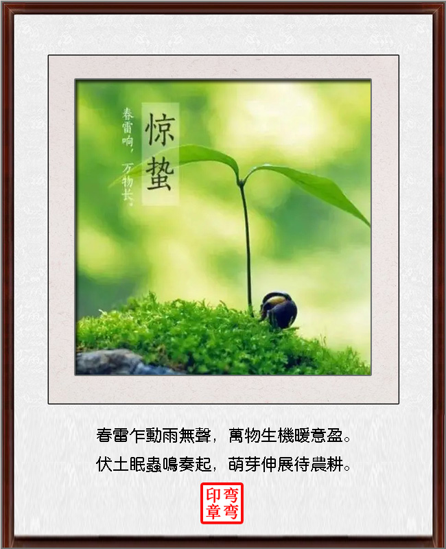 ߾ ߾, Ͻ 182810gdu4f5p5f578j50a