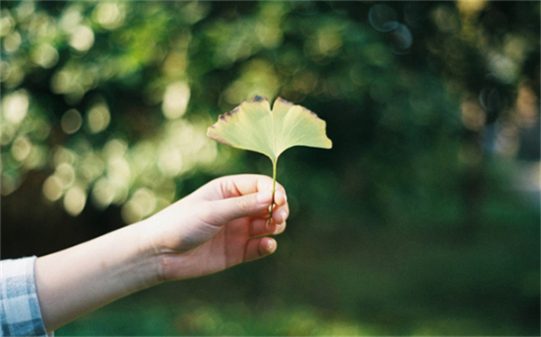   ɢ 103437fu9rrro4b2o4ncus