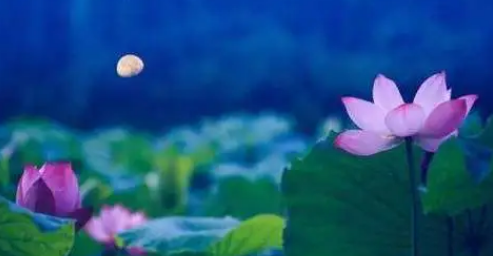 ĳʱһһغɫ ,ʱ,ɫ ɢ 090517zldf52517r5dinhi