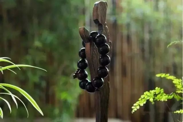 ǳɭֵĺڰУף ,,ɭ,ڰ ִʫ 