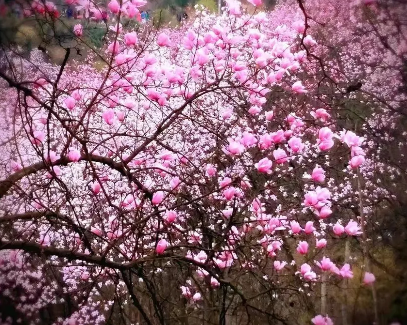 괺ɣЦ ,,, ɢ 094941cruuoou9foz6mwzk