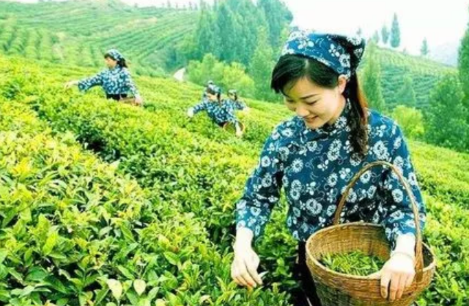 ƽ֣ɽũ ũ, Ͻ 105827v50lbe4vbjl0rbro